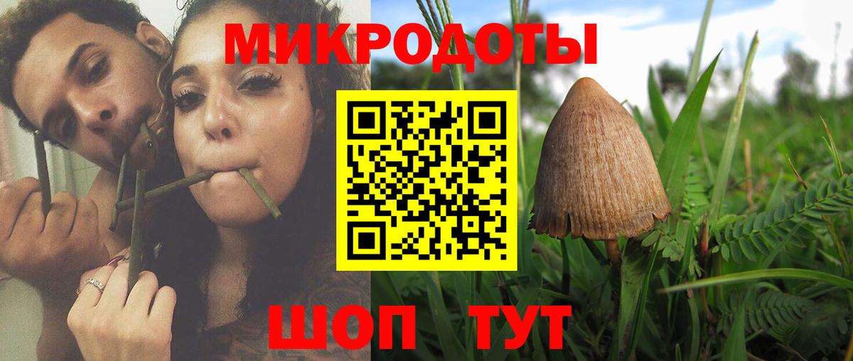 Псилоцибиновые грибы MAGIC MUSHROOMS  что такое наркотик  Южноуральск  Вход с VPN 
